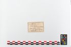 Etikett zu Eisenlanzenspitze (NHMW-PRAE-048328)